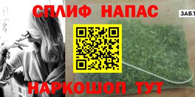 СК Новозыбков