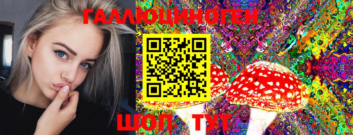 Балашов  Галлюциногенные грибы GOLDEN TEACHER  Вход с VPN 